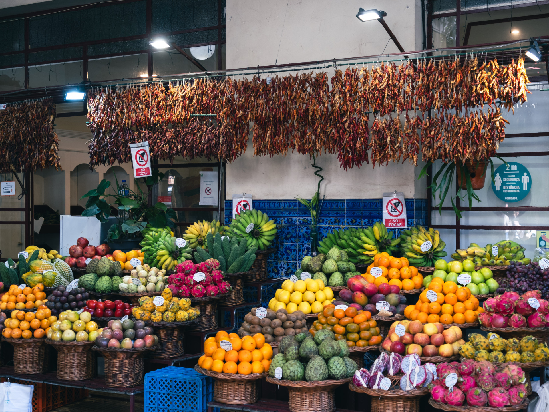 Exotic Fruits & Monstera deliciosa at Mercado dos Lavradores