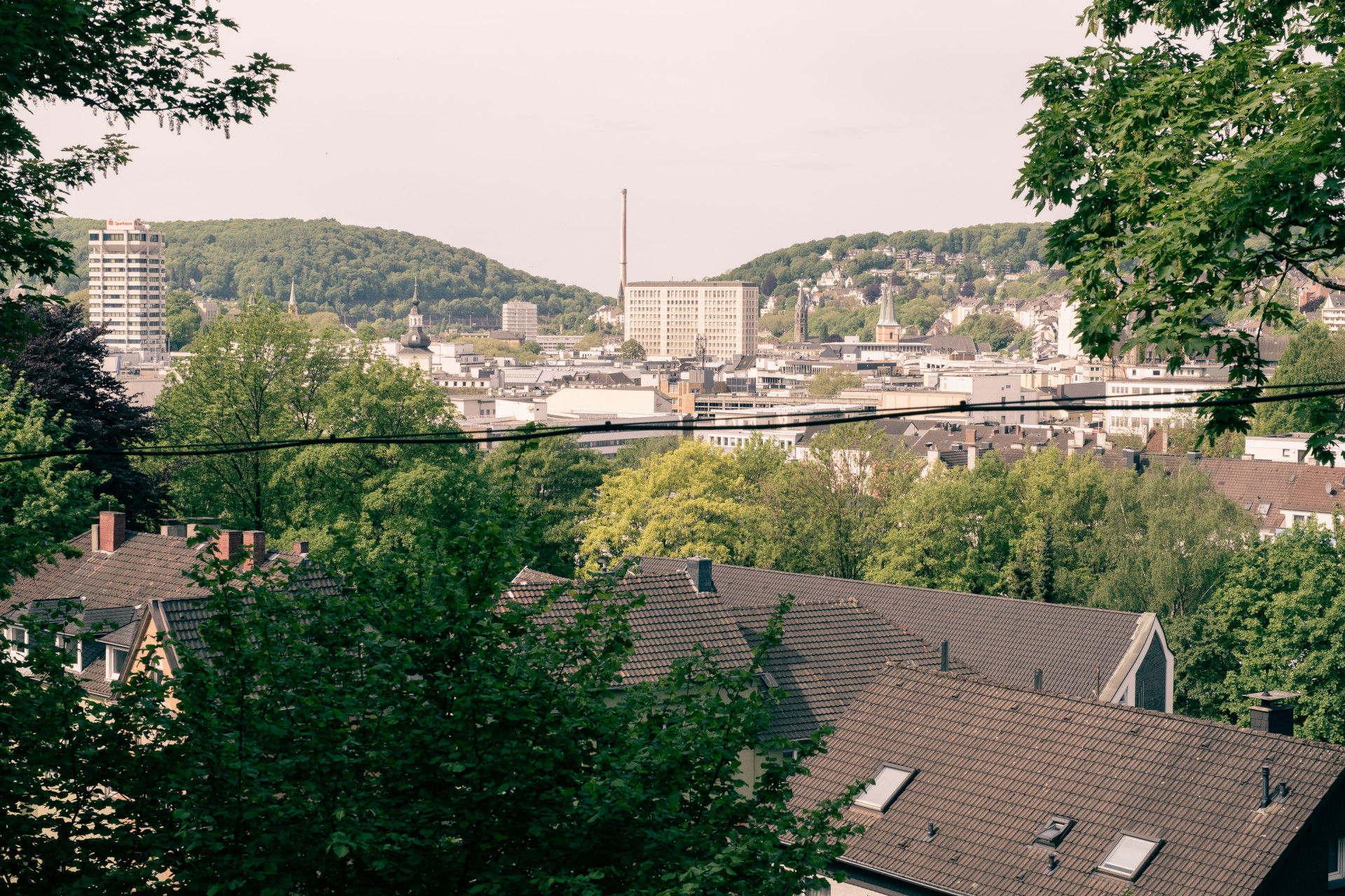 Wuppertal Cityscape Framed by Sycamore Maple (Acer pseudoplatanus)