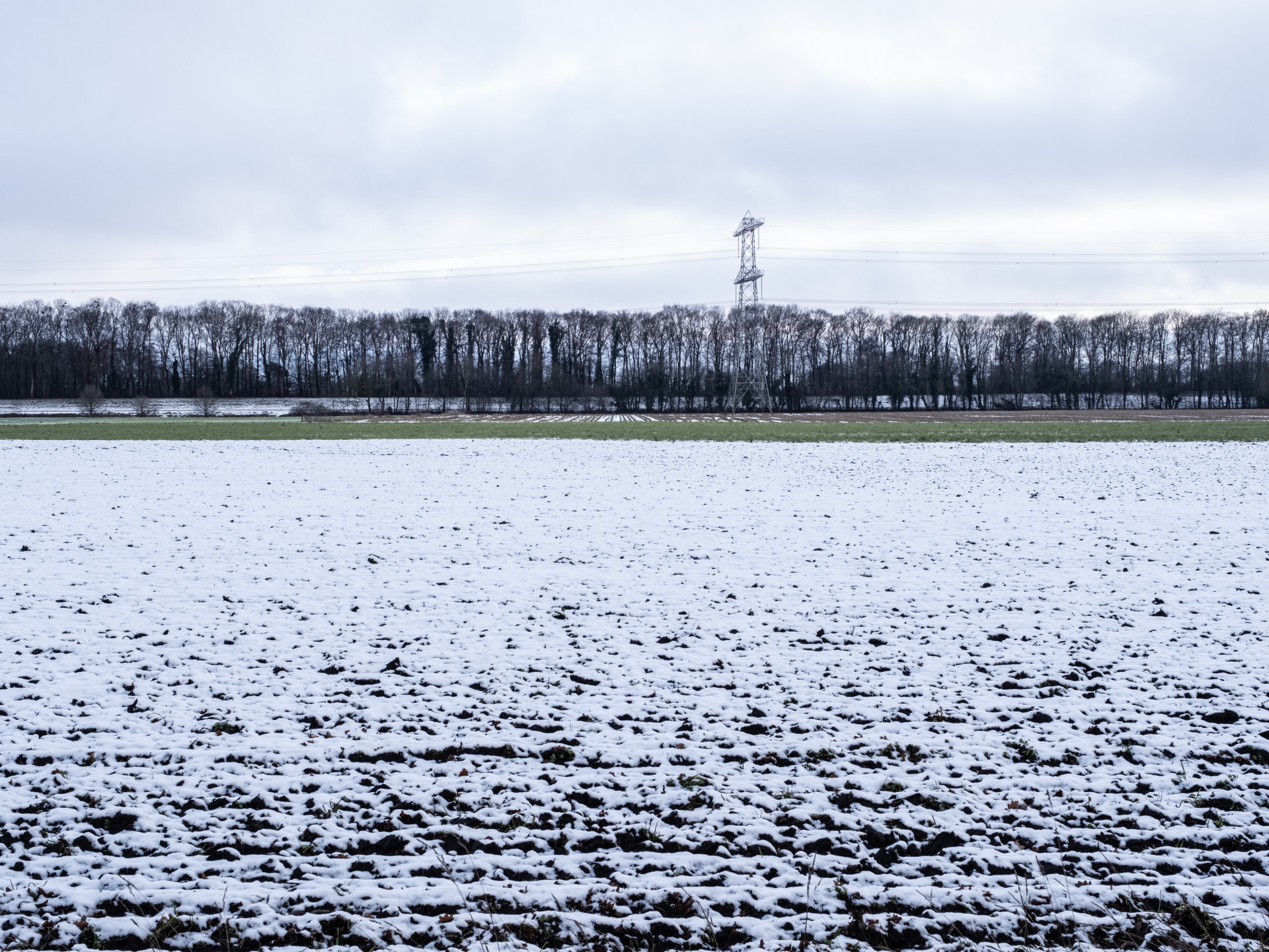 Snow-Covered Field Near Lochem
