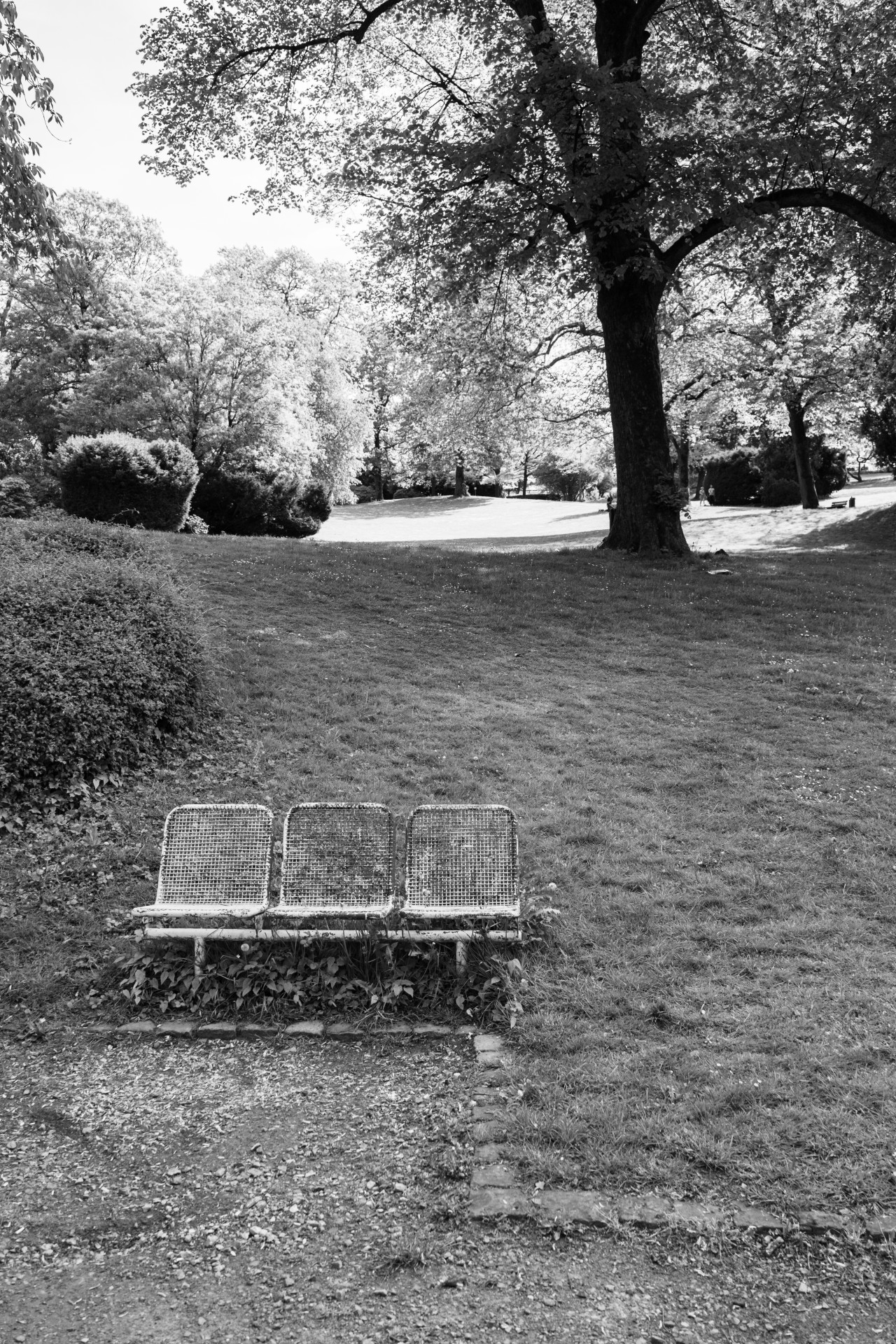 Weathered Park Bench, Wuppertal Botanical Garden
