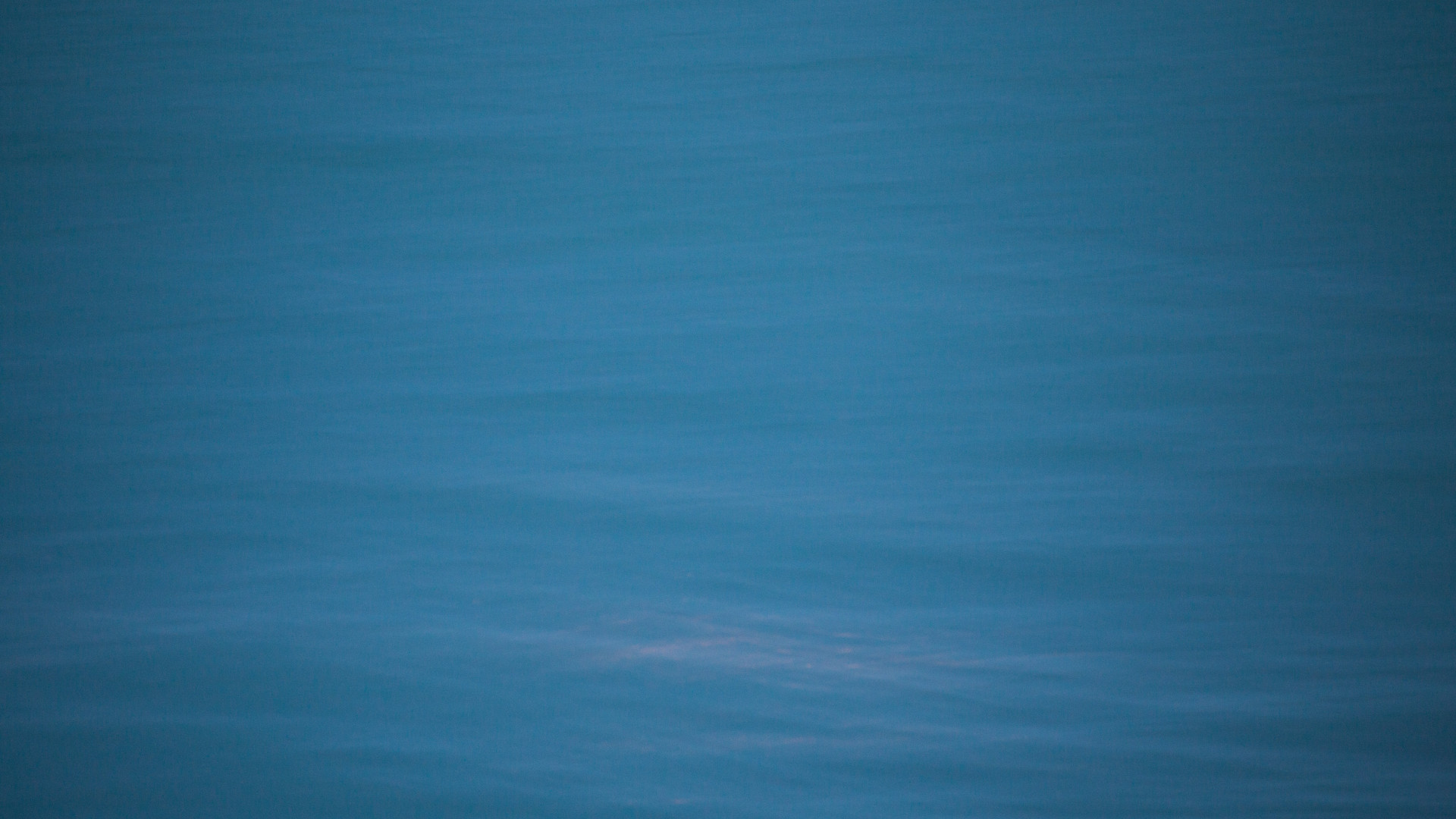 Tranquil Waters at Maasvlakte