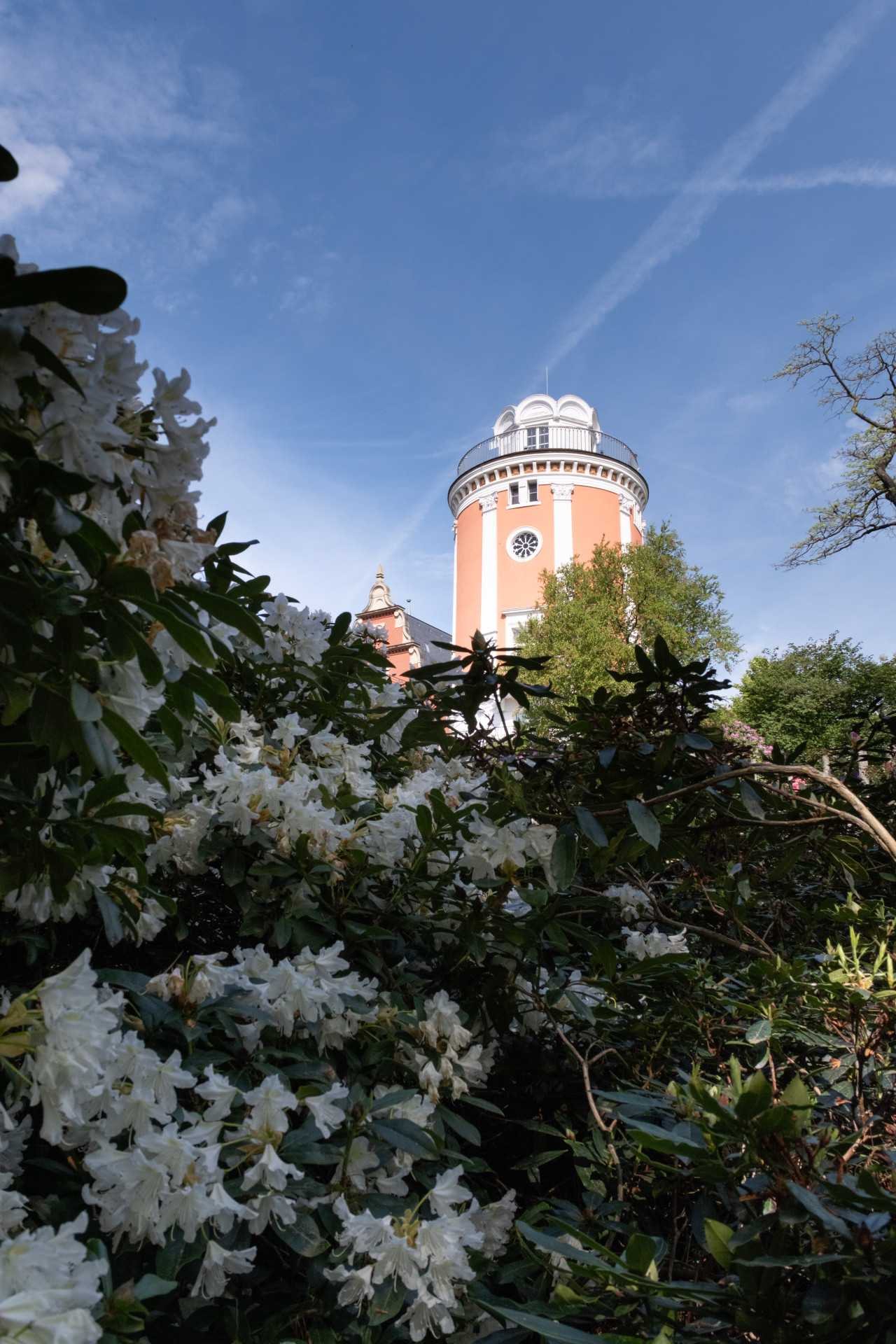 Elisenturm (Elisabeth Tower) framed by Rhododendron