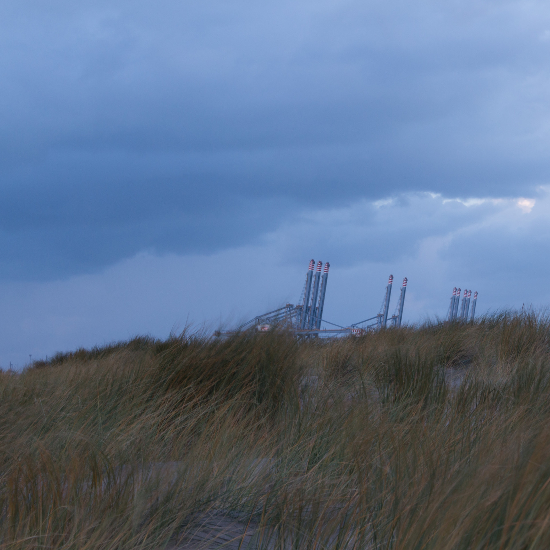Industrial Cranes Beyond the Grass