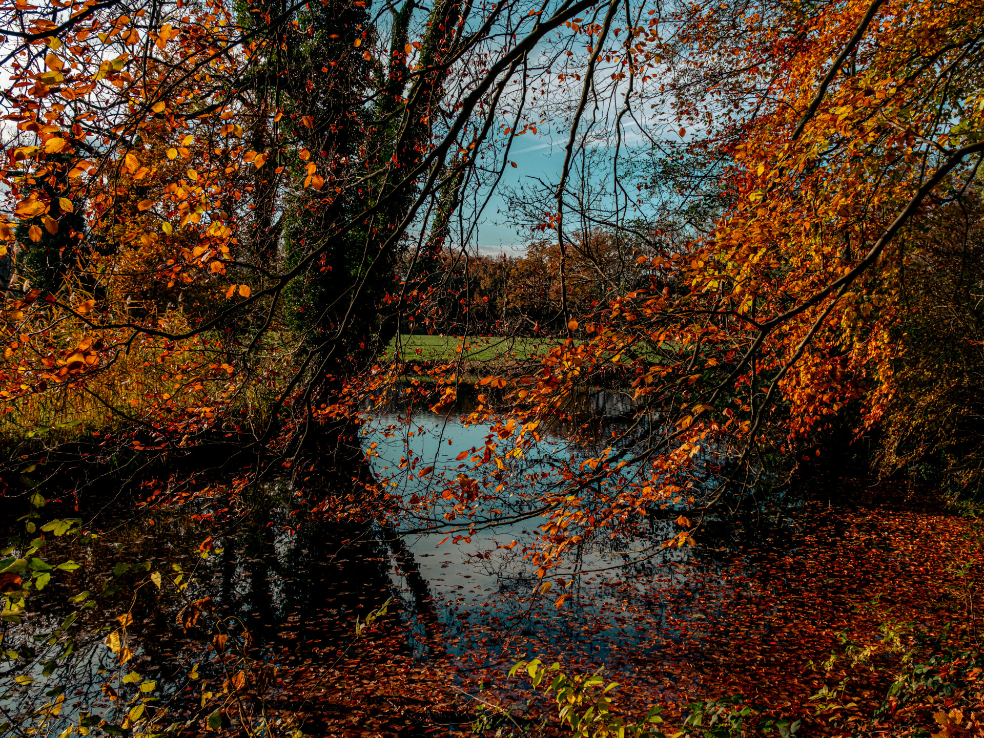 Autumn Hues Along River Berkel