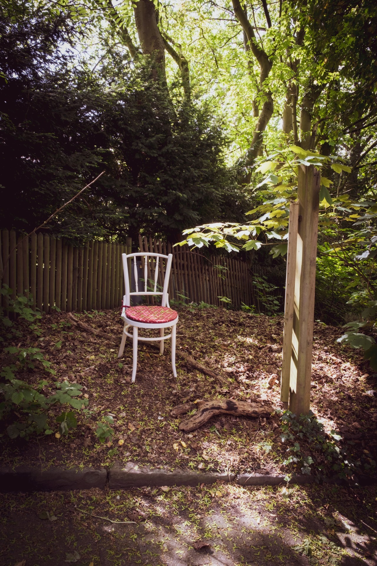 White Chair in Wuppertal Botanical Garden (Acer, Taxus)