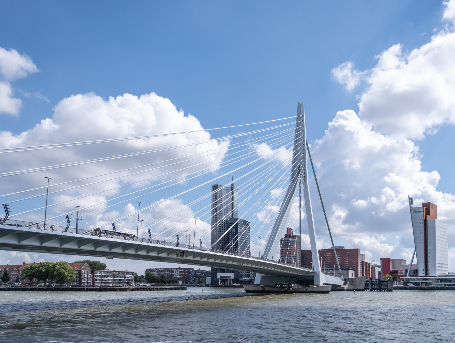 Erasmus Bridge in Rotterdam Skyline