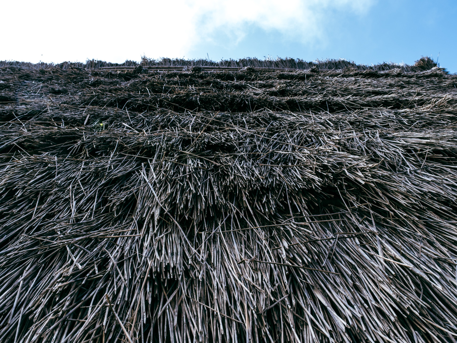 Traditional Thatched Roof Detail, Santana, Madeira