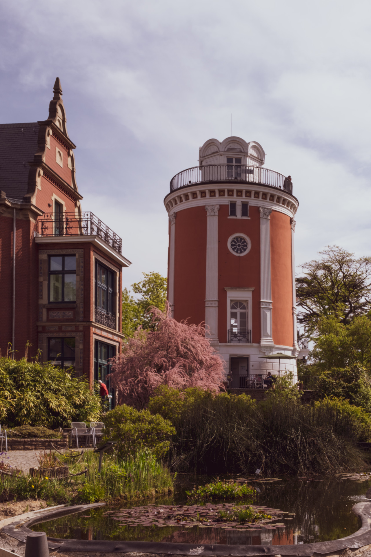 Elisenturm (Wuppertal) & Roze Tamarisk in Bloei