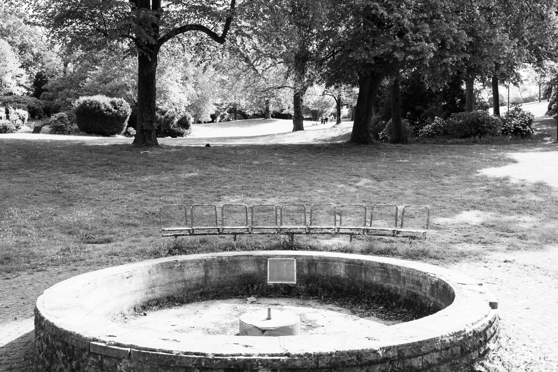 Empty Fountain & Common Daisies (Bellis perennis) in Wuppertal