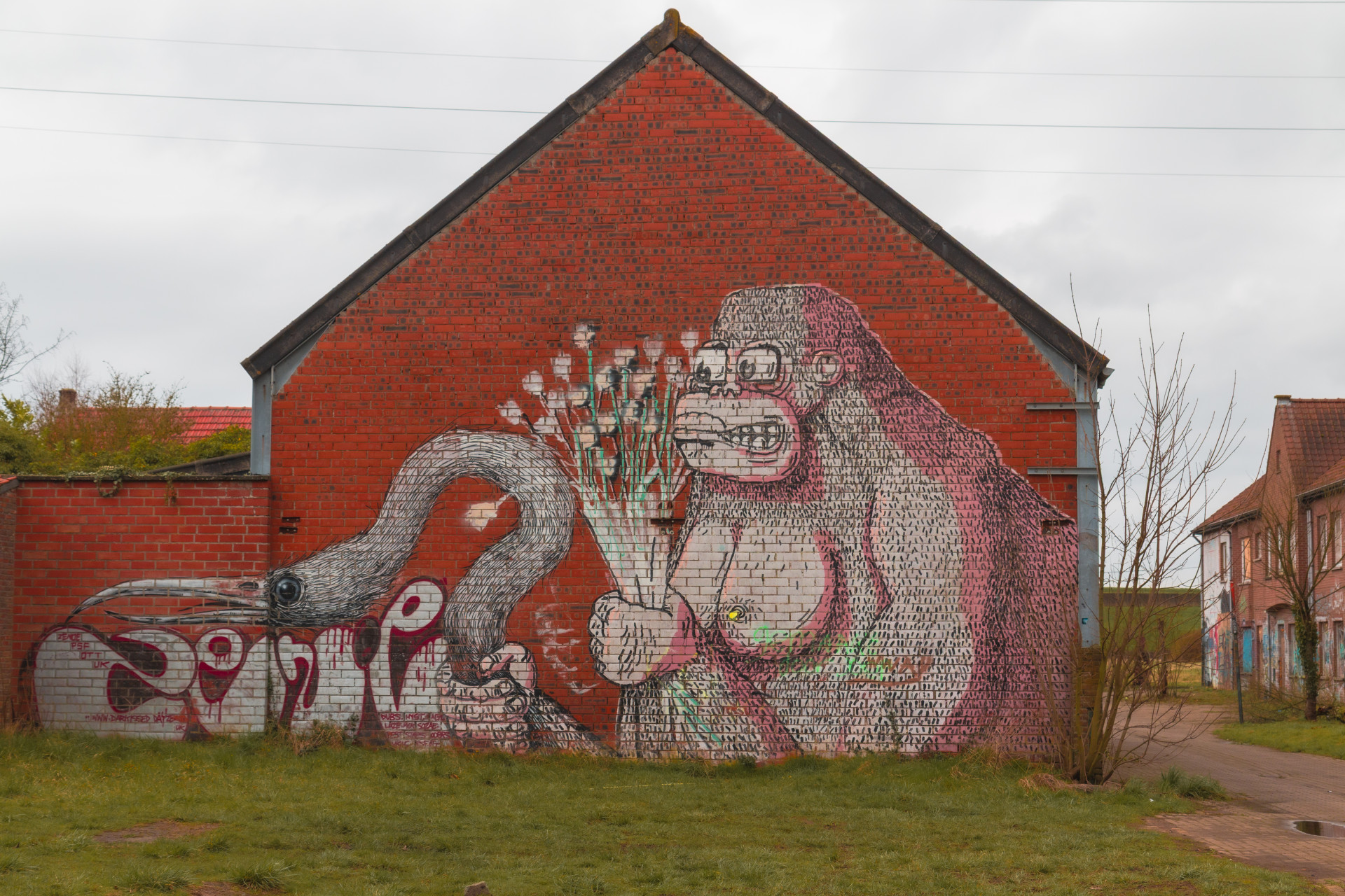 Gorilla and Bird Graffiti on Brick Wall