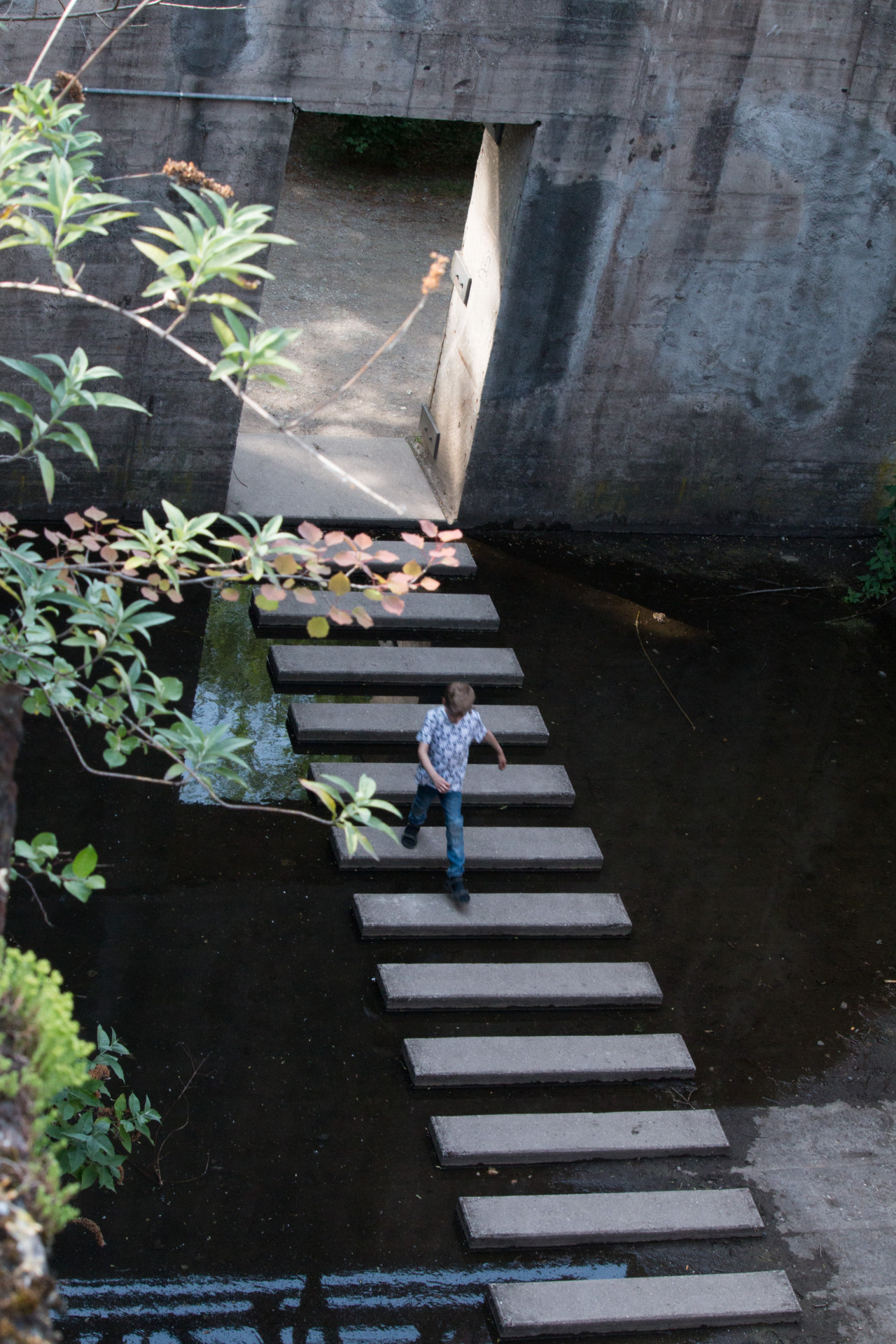 Concrete Steps Over Murky Water