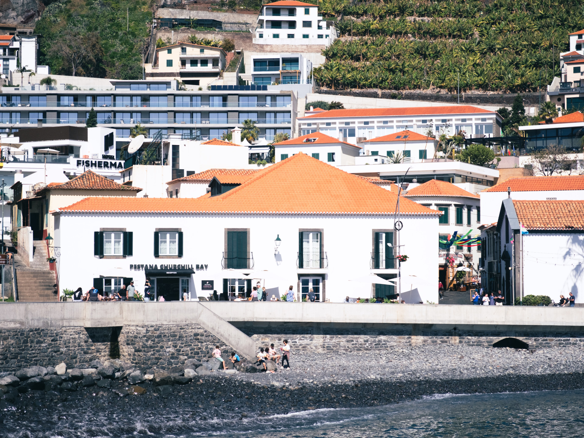 Câmara de Lobos & Banana Terraces (Musa acuminata)