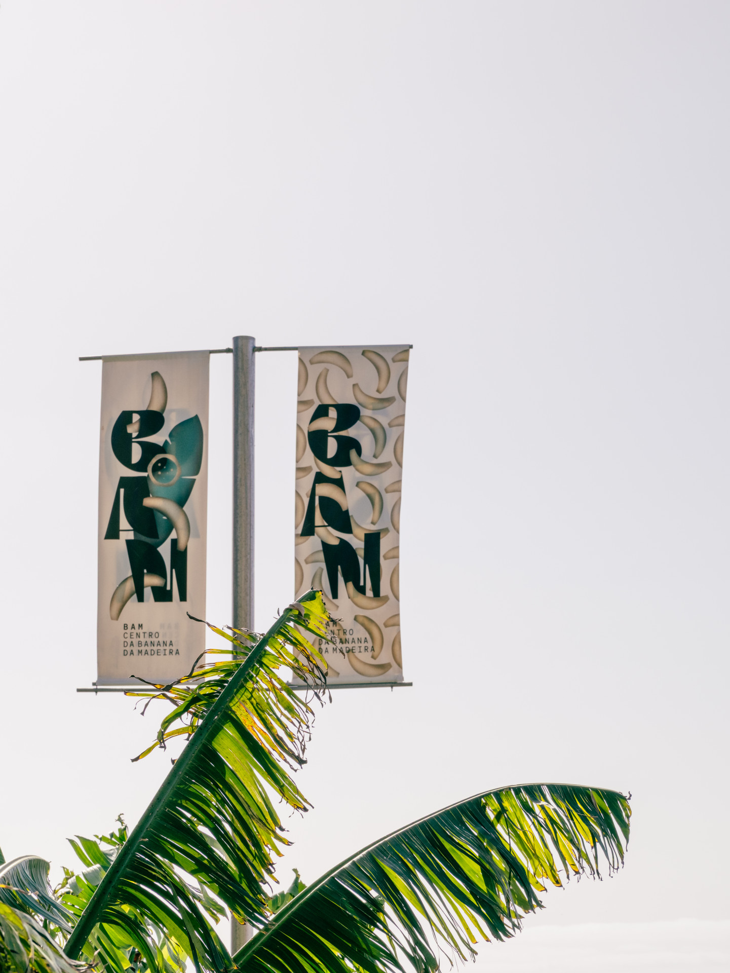 BAM - Centro da Banana da Madeira Banners & Musa Leaves