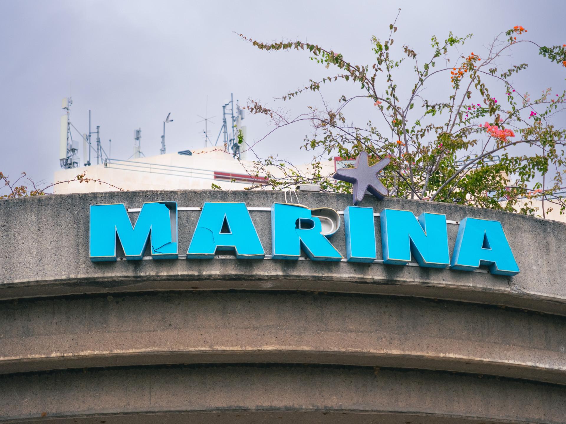 Marina Signage and Bougainvillea (Bougainvillea sp.)