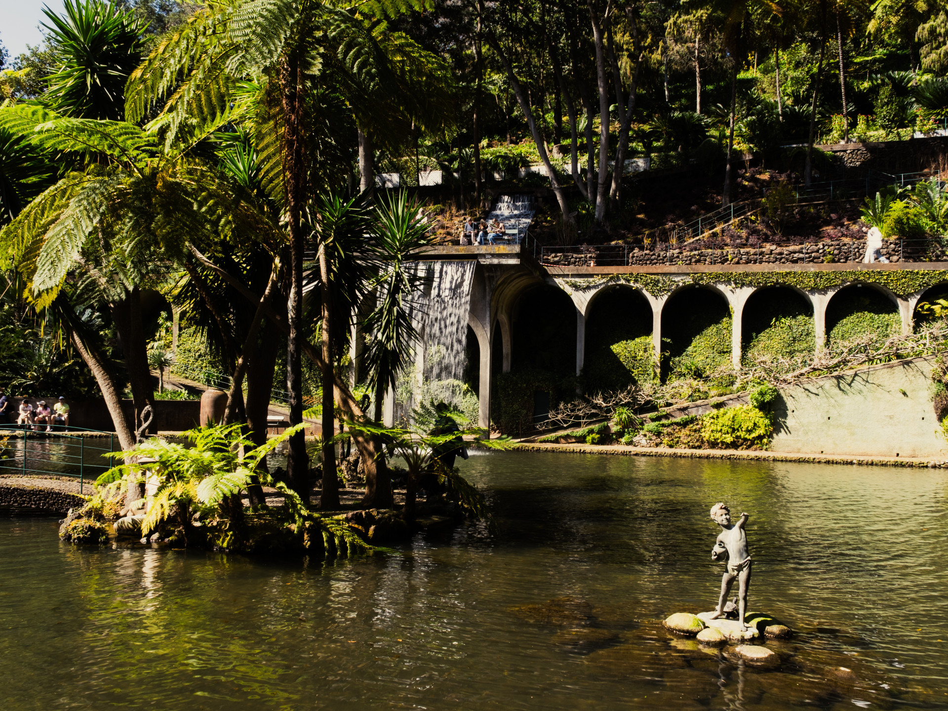 Monte Palace Garden with Tree Ferns (Cyathea cooperi)