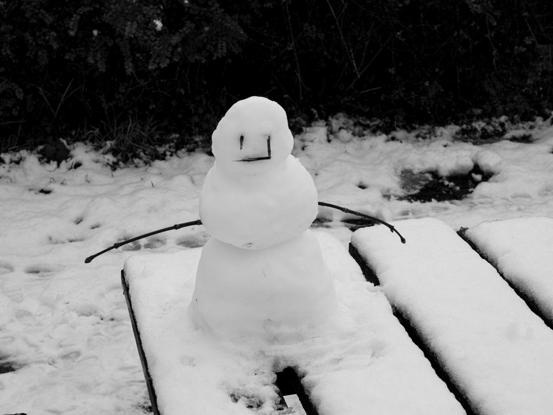 Snowman on a Winter Bench