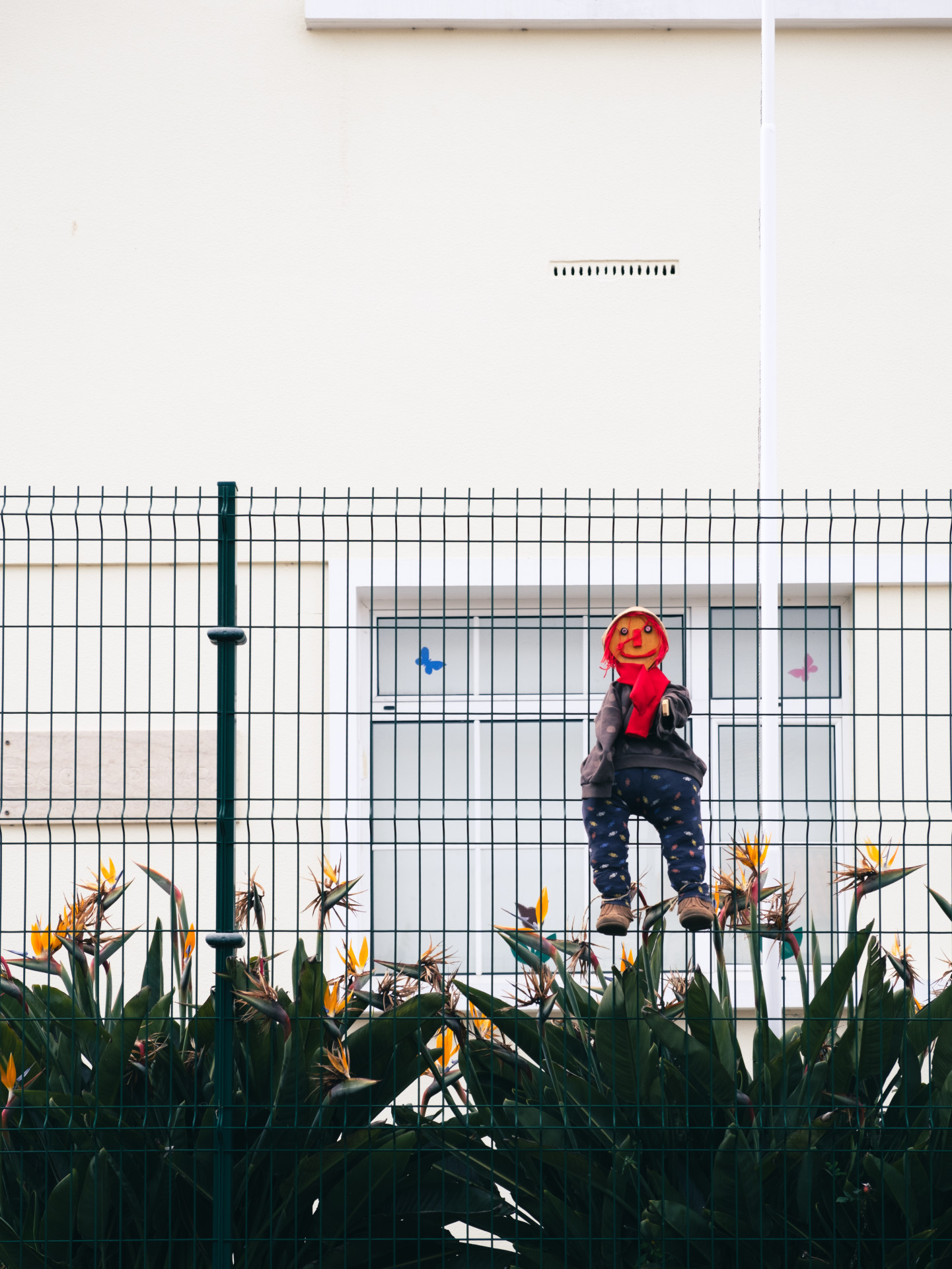 Bird of Paradise (Strelitzia reginae) & Whimsical Figure
