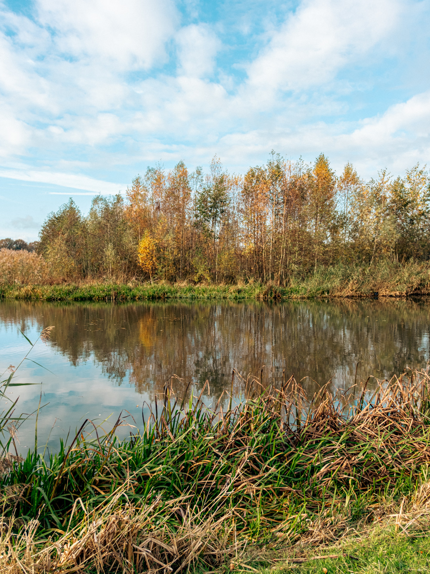 Autumn Reflections by the Riverbank
