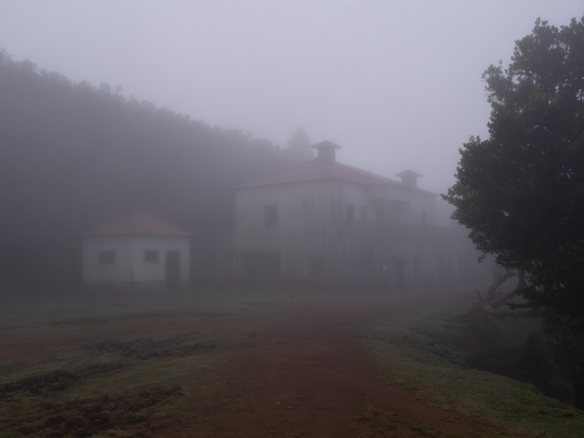 Posto Florestal do Fanal in Heavy Fog, Madeira