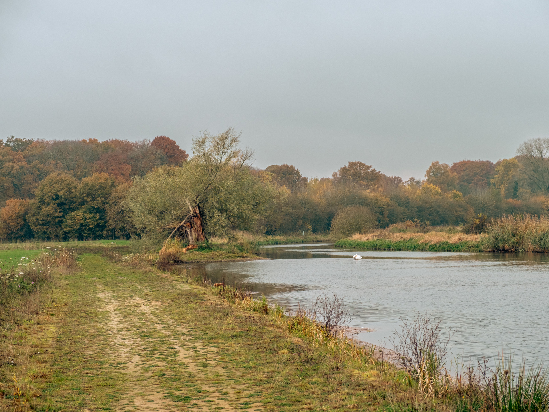 Tranquil Autumn Riverside