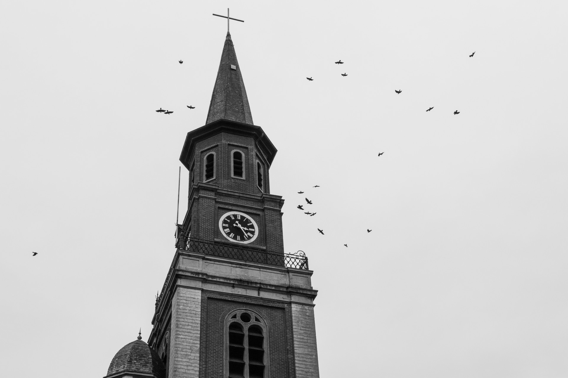 Church Tower and Flying Birds in Doel