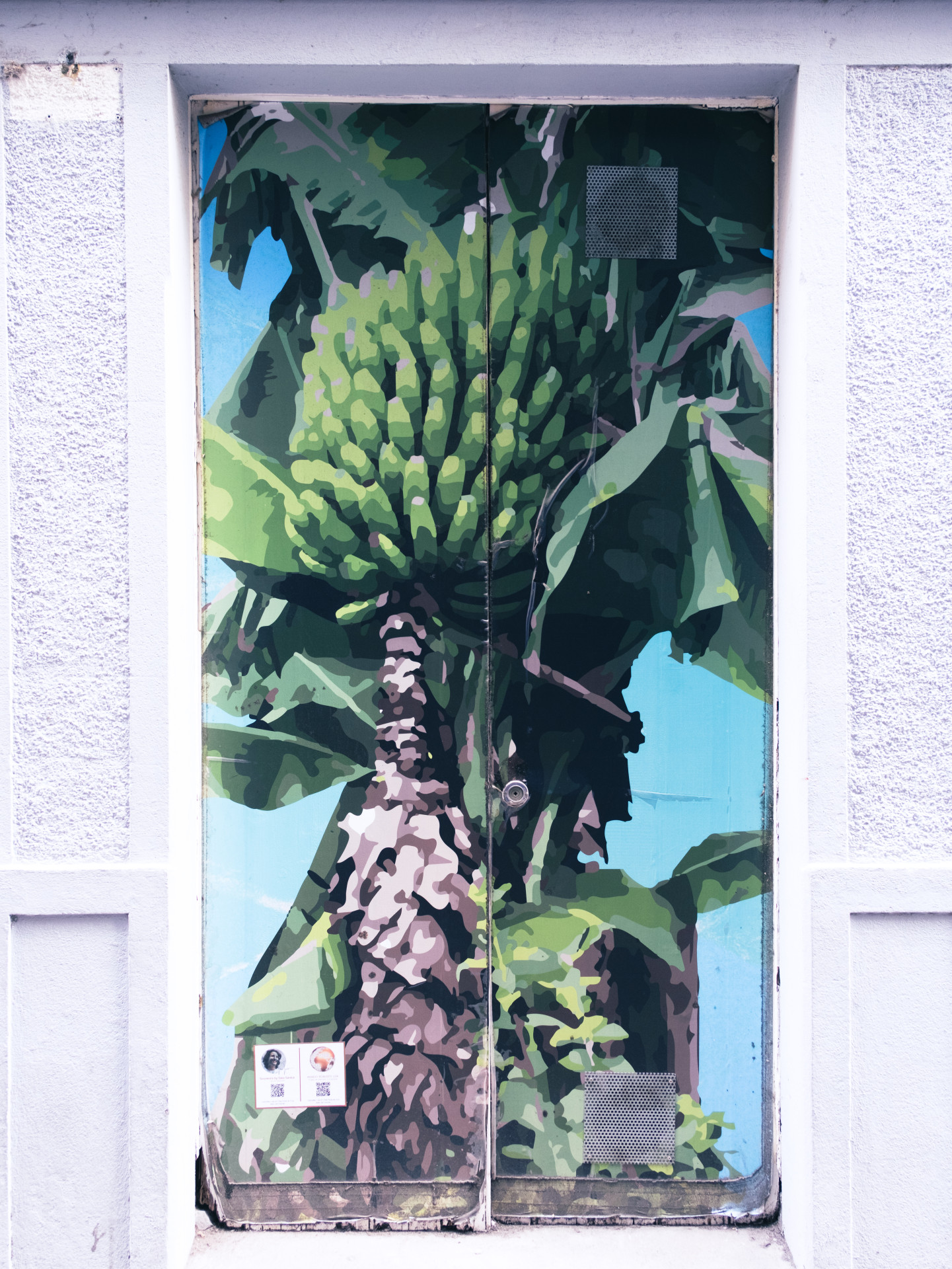 Painted Door: Banana Tree (Musa) Mural in Funchal