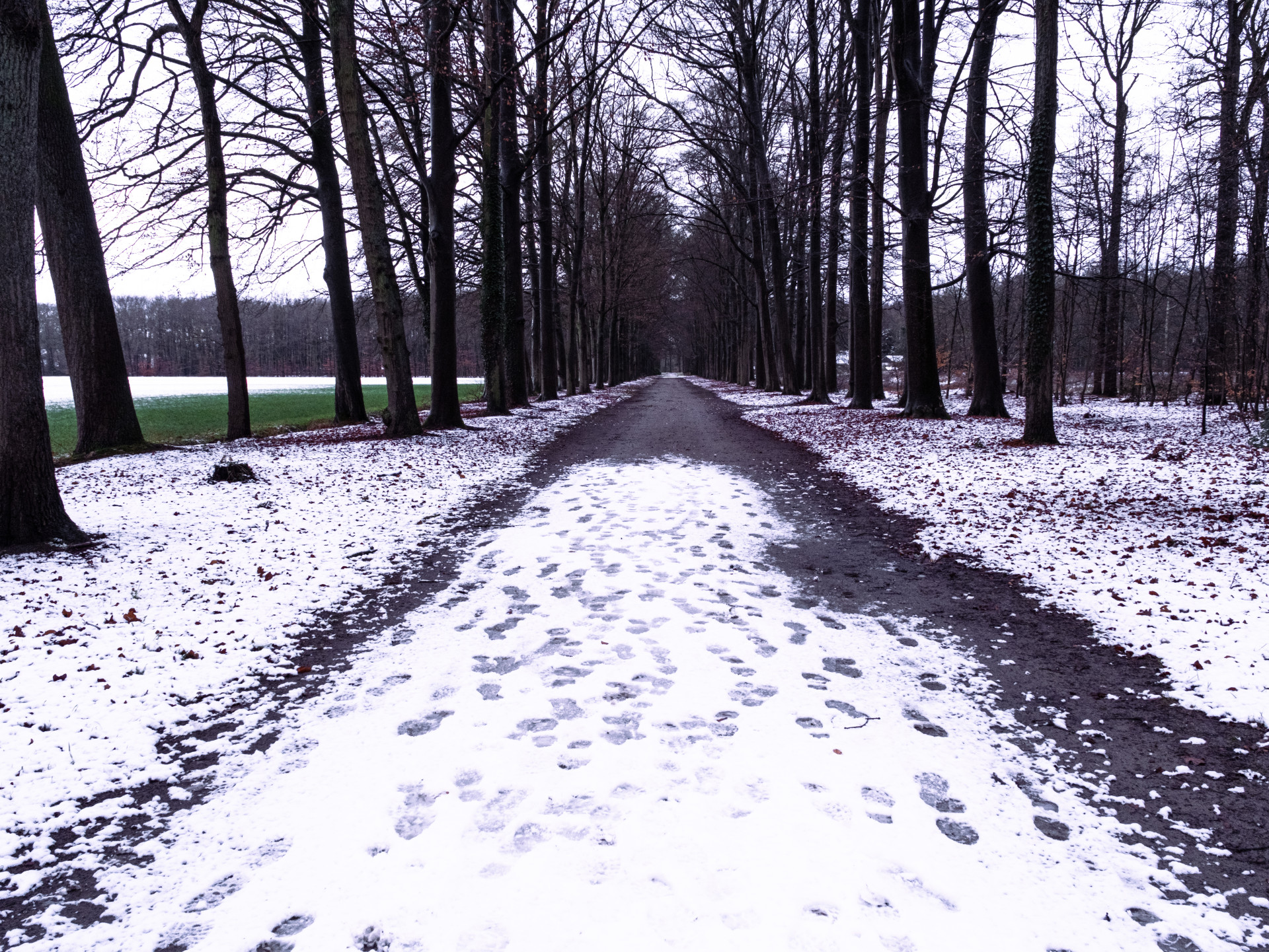 Winter Path Through Ampsen Estate