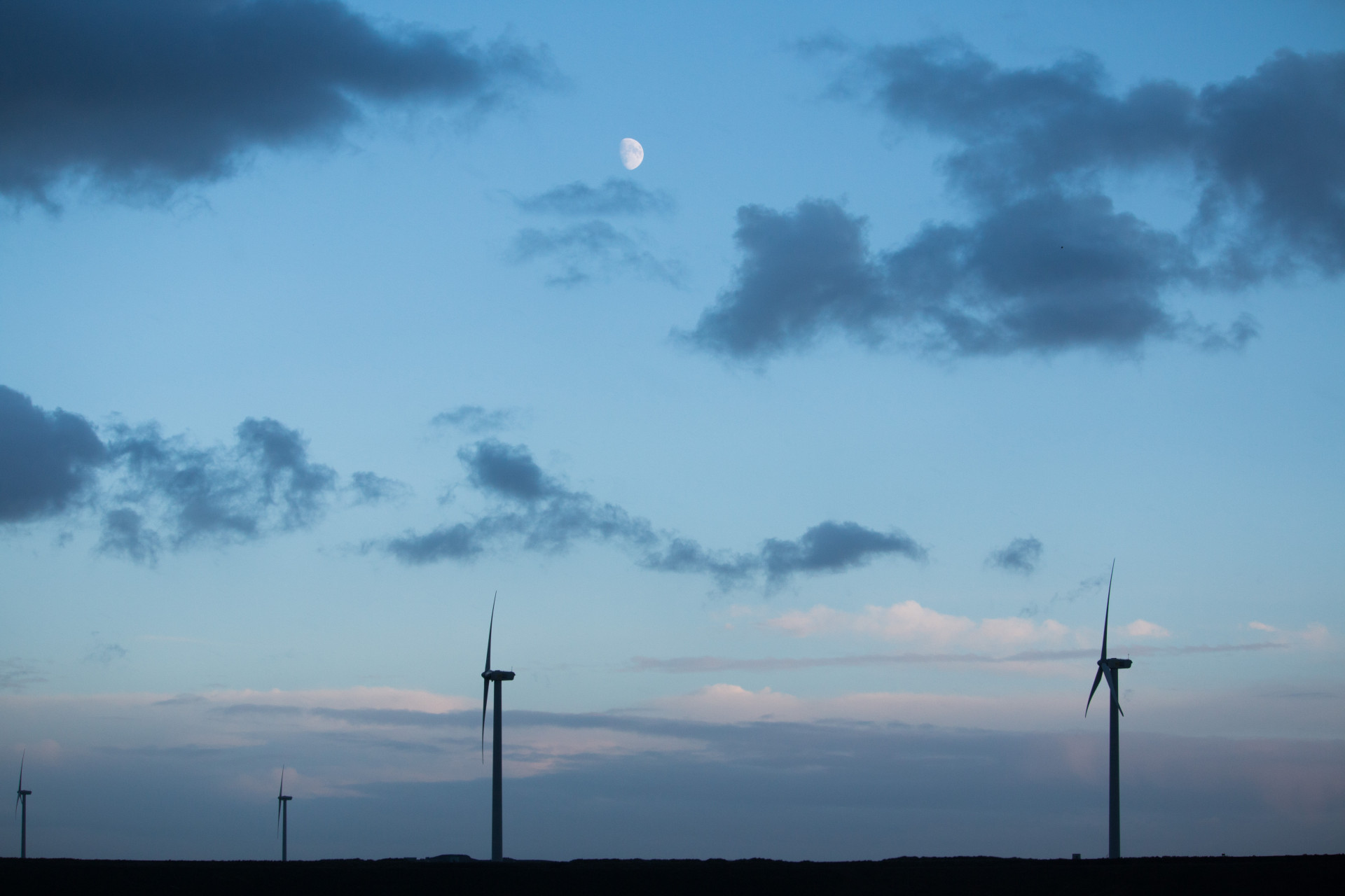 Wind Turbines at Dusk Near Maasvlakte