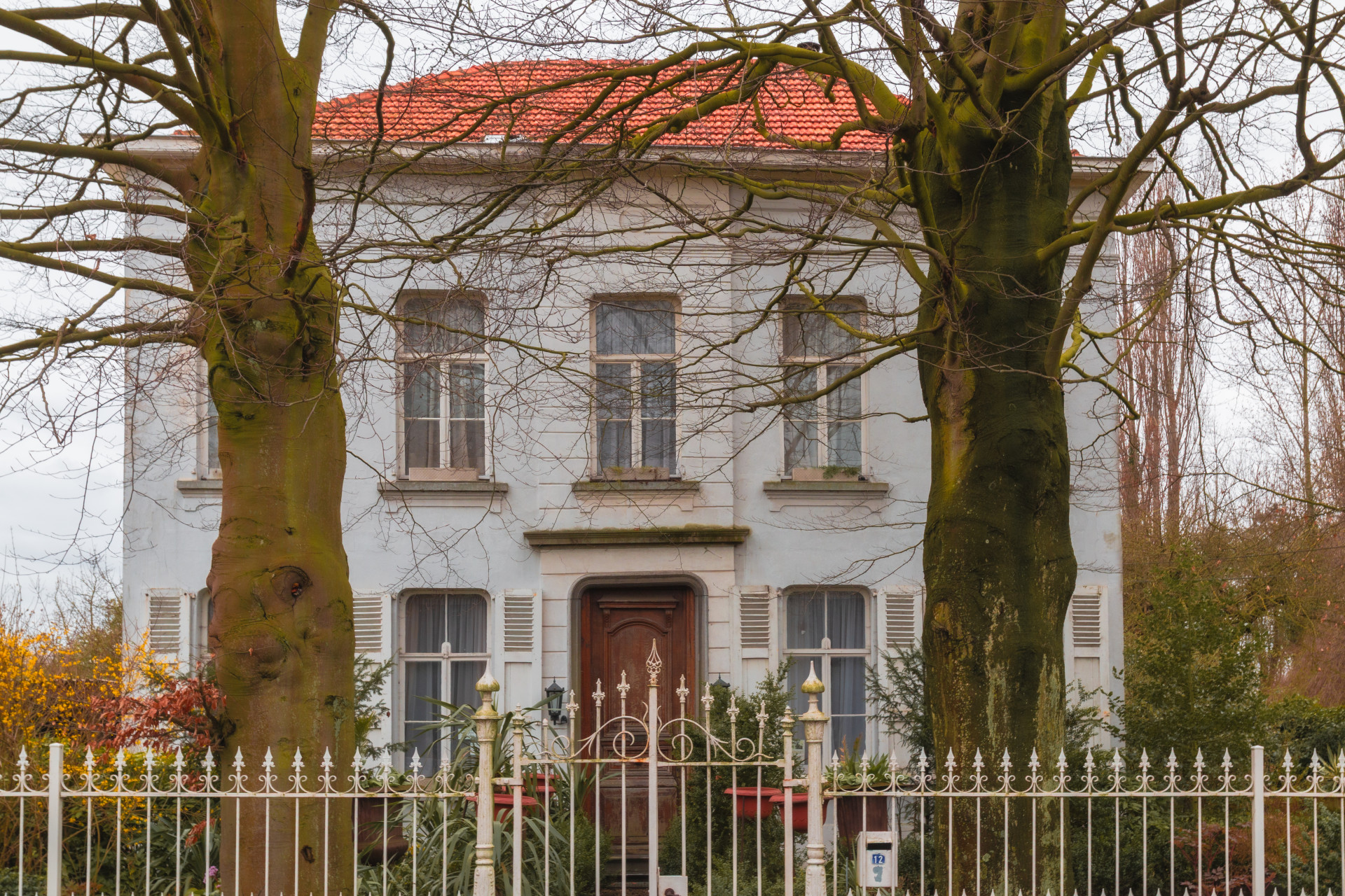 Abandoned Villa Behind Trees