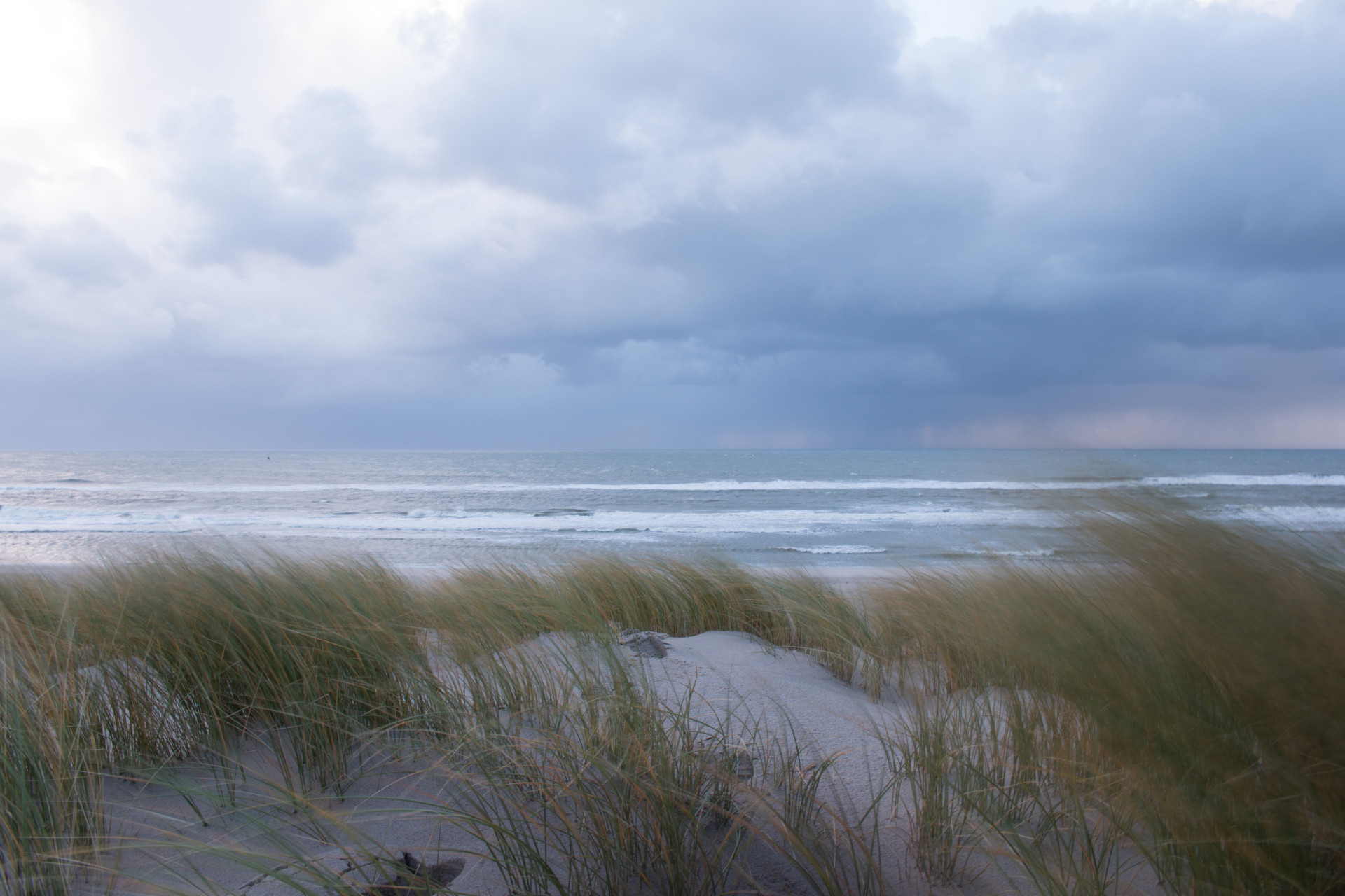Windy Dunes Overlooking North Sea