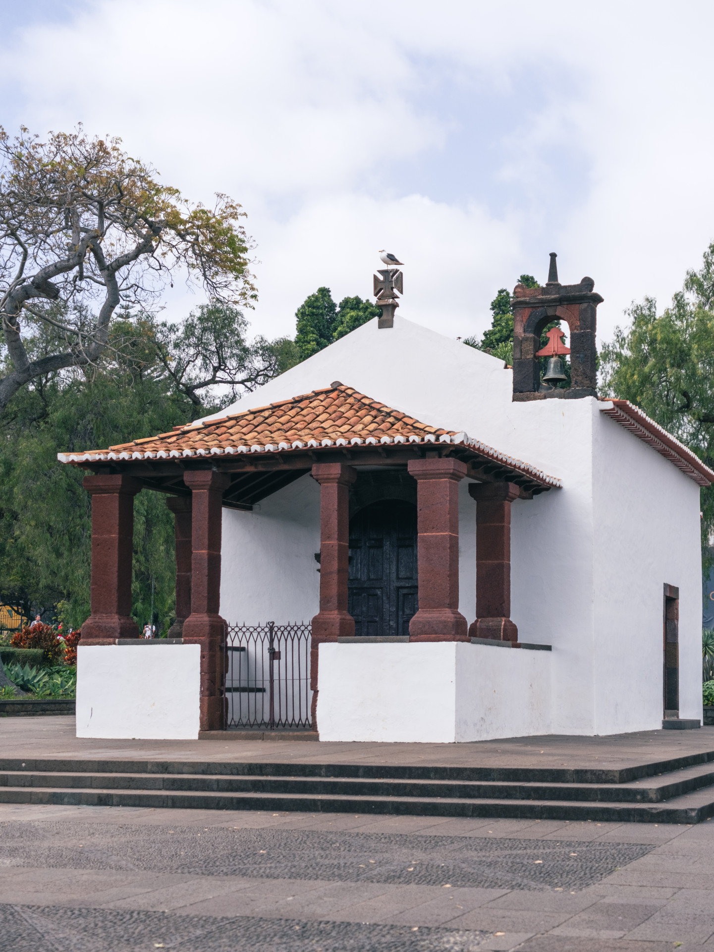 Capela de Santa Catarina & Gull (Larus michahellis)