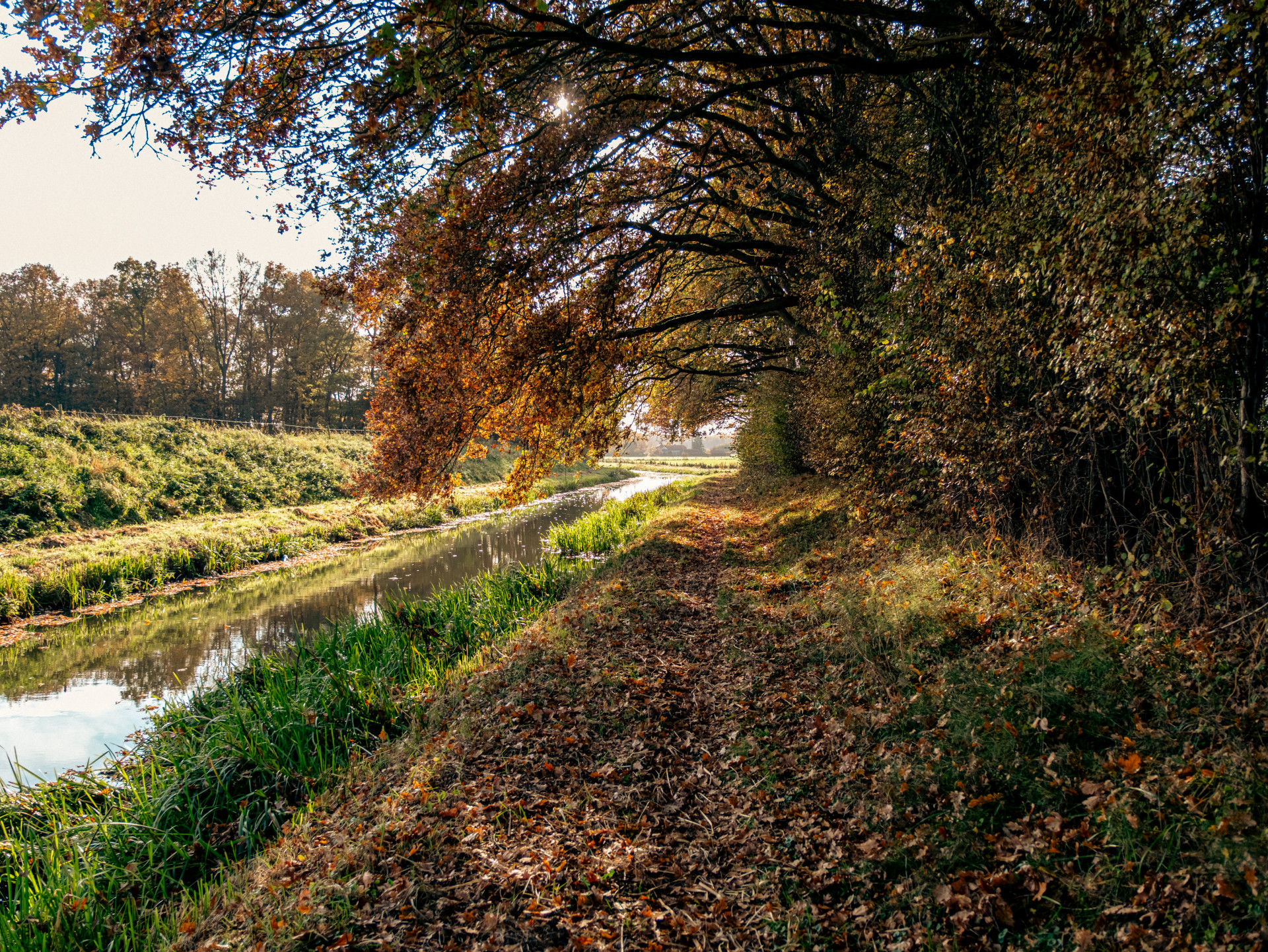 Autumn Pathway by the Stream