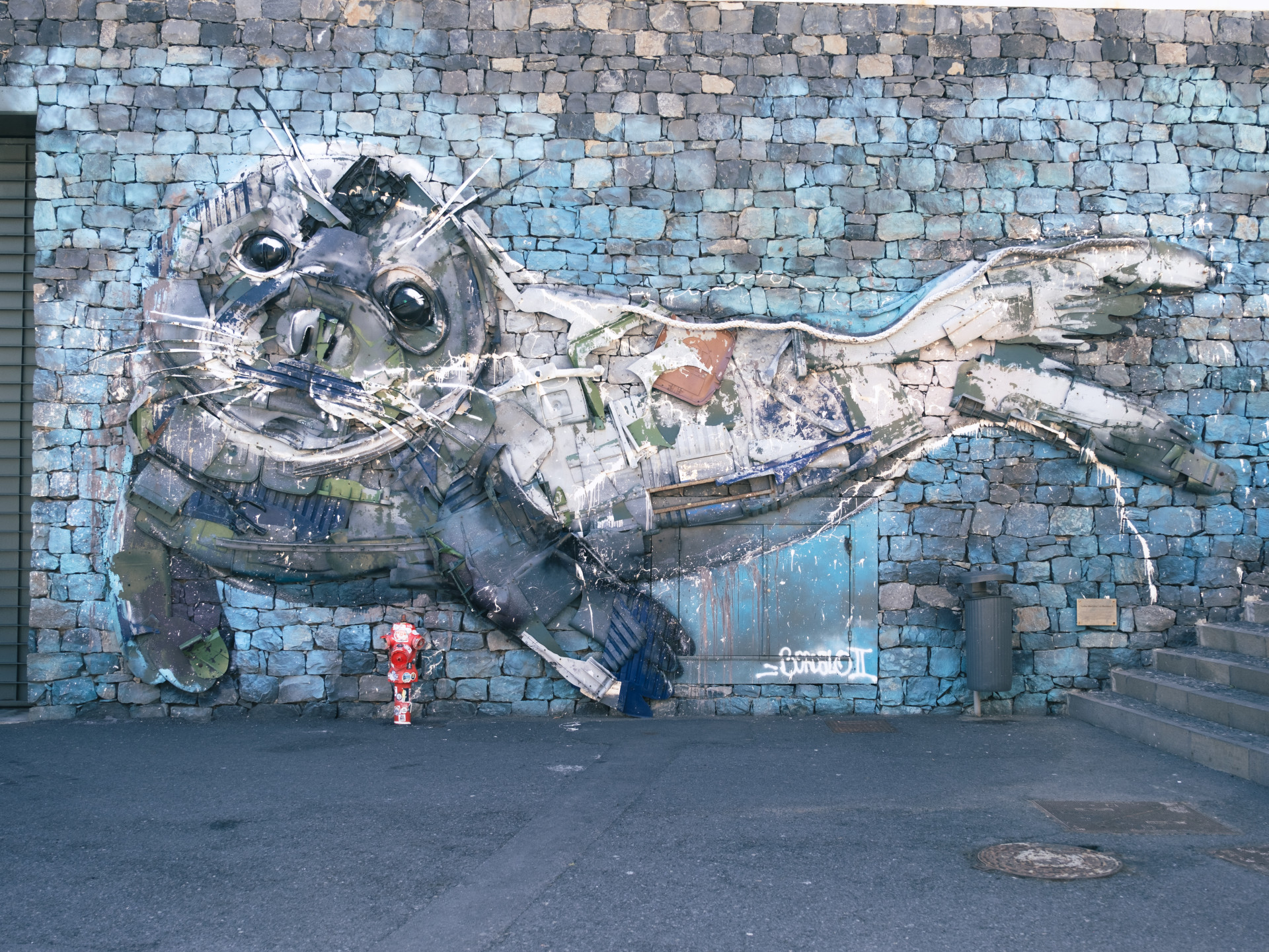 Monk Seal (Monachus monachus) by Bordalo II in Funchal