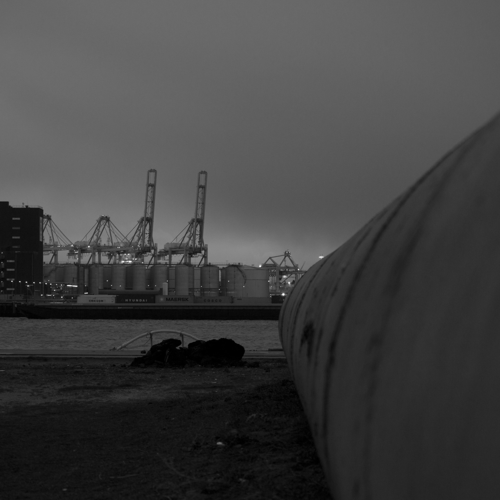 Cargo Cranes at Maasvlakte 2