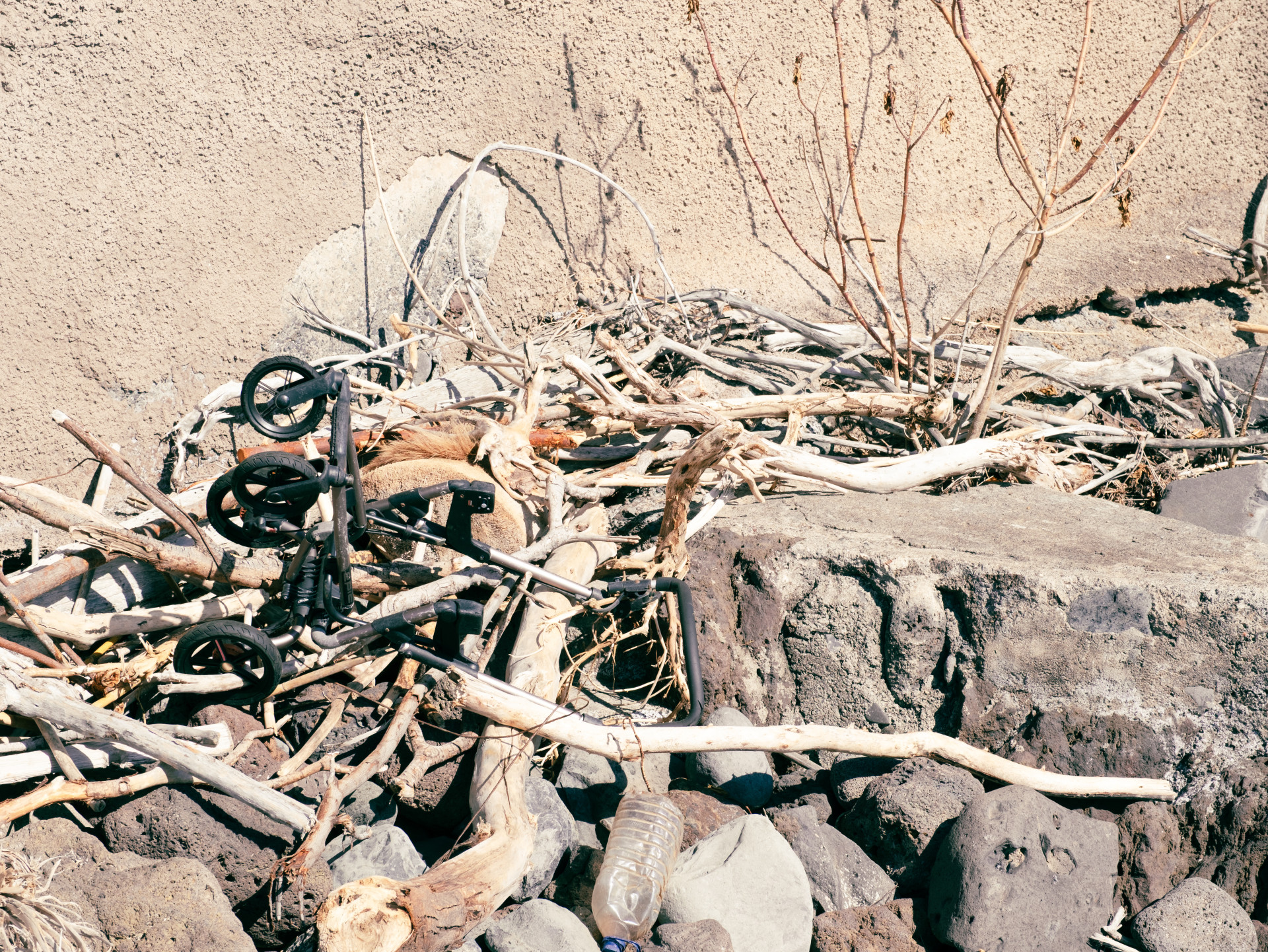 Discarded Stroller Frame and Driftwood on Volcanic Coast
