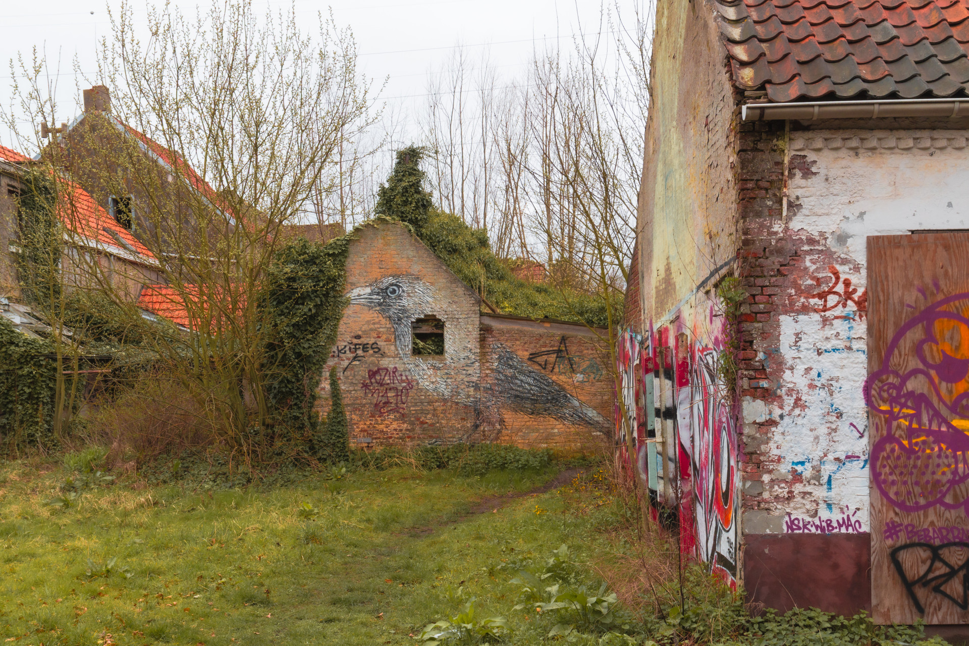 Graffiti Bird in Abandoned Doel