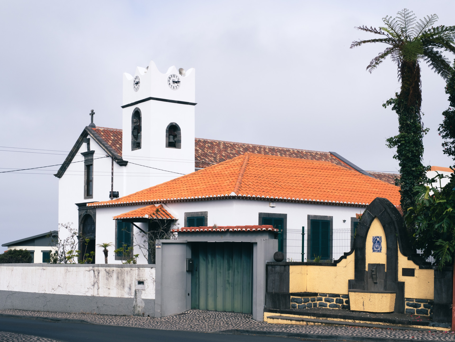 Igreja de Nossa Senhora da Luz & Cyathea cooperi