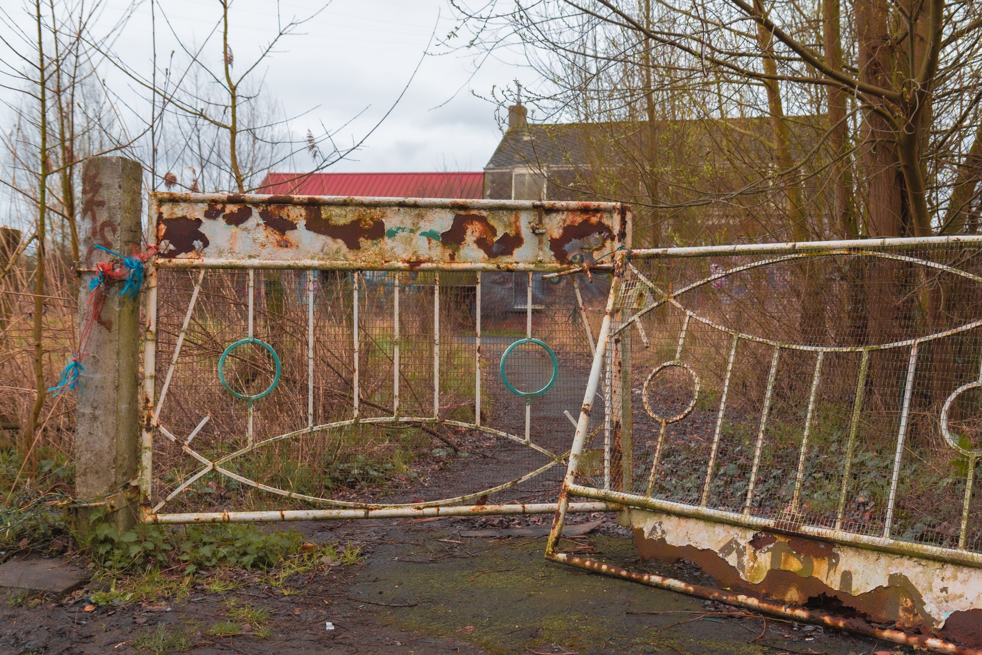 Rusty Gate Amidst Overgrown Vegetation
