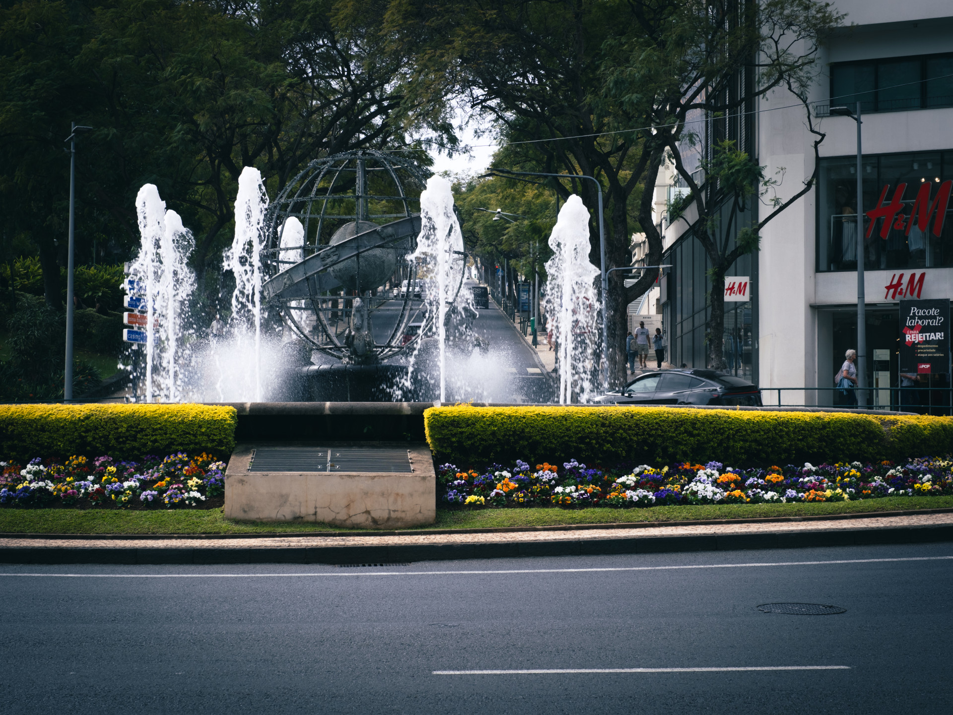 Rotunda do Infante & Pansies (Viola × wittrockiana)