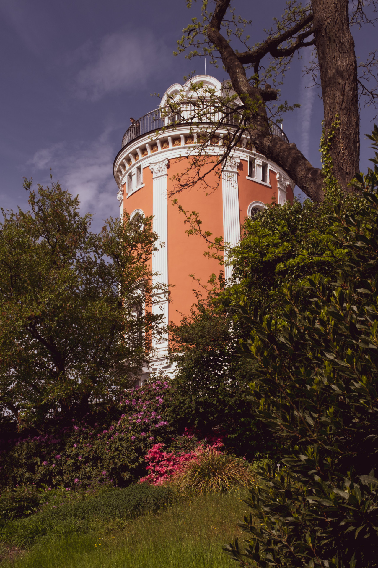 Elisenturm & Rhododendrons, Wuppertal Botanical Garden