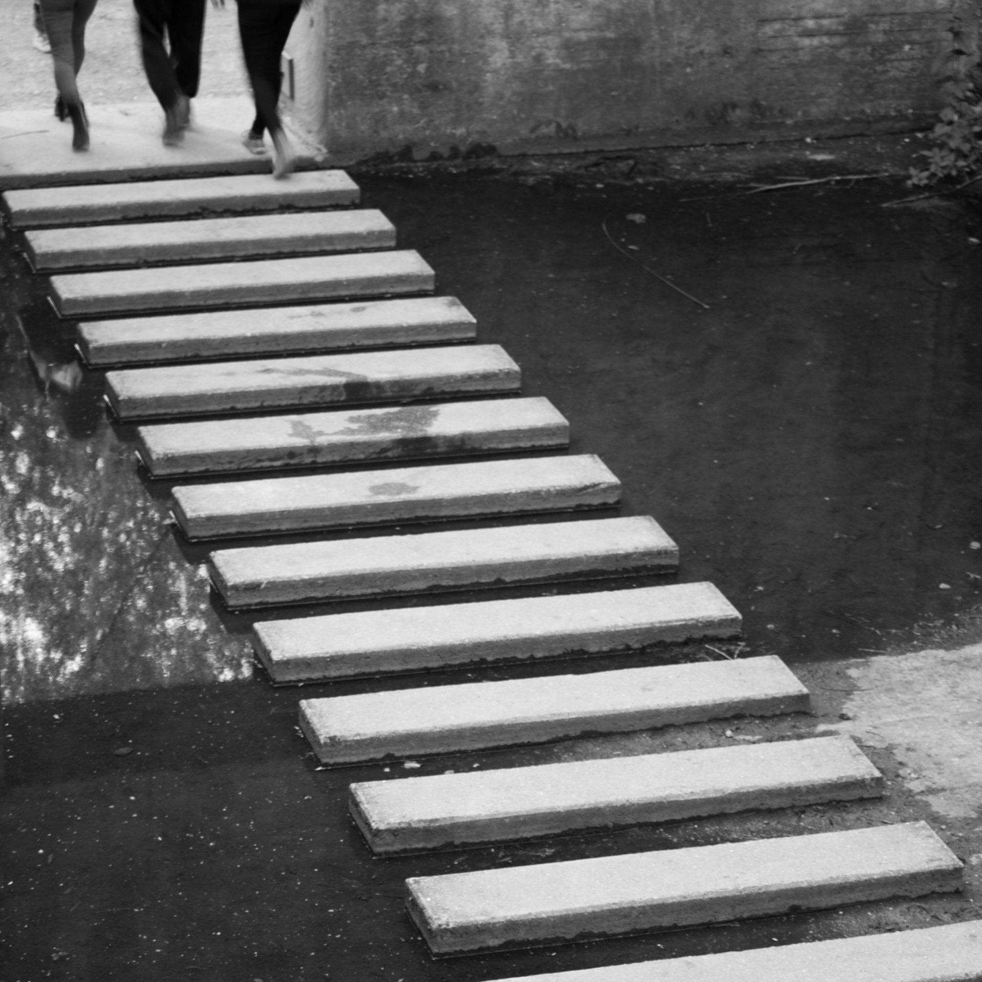 Monochrome Footbridge Journey